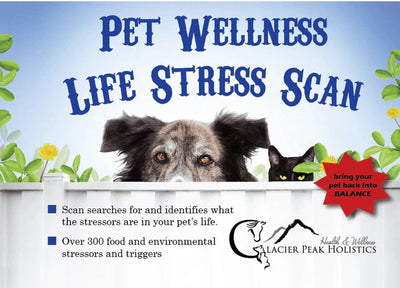 Test D'Allergie Pour Chien Et Chats Glacier Peak Holistics