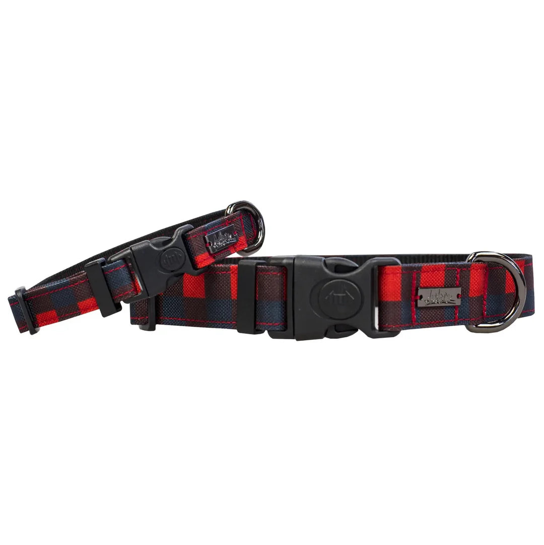 Amarok - Collier Pour Chien