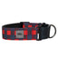Amarok - Collier Martingale Pour Chien