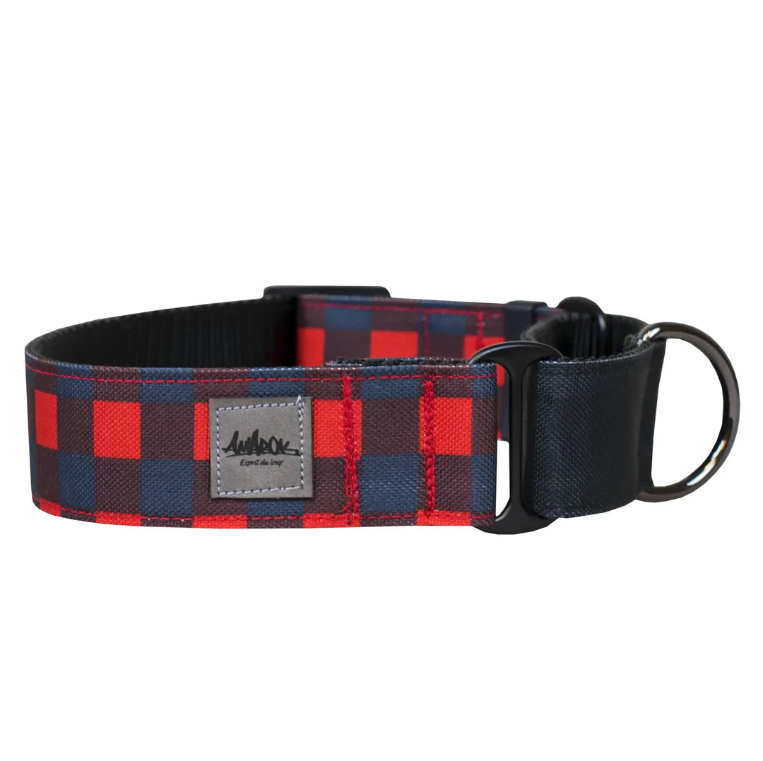 Amarok - Collier Martingale Pour Chien