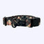 Amarok - Collier Pour Chien