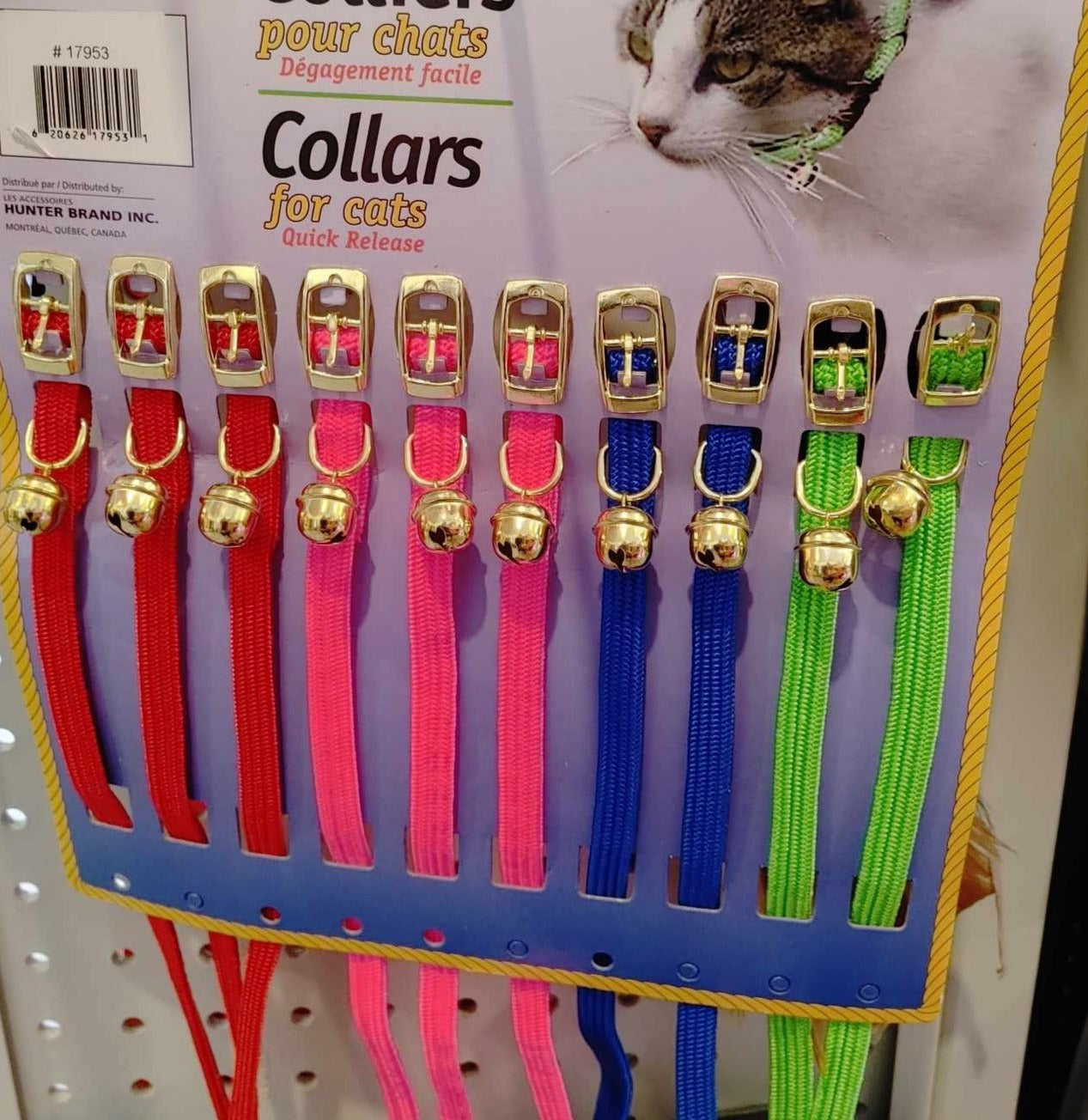 Collier Hunter Pour Chat