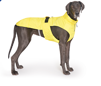 Imperméable Jaune Pour Chien Canada Pooch