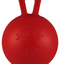 Jouet Jolly Pets Pour Chien *Jolly Ball*