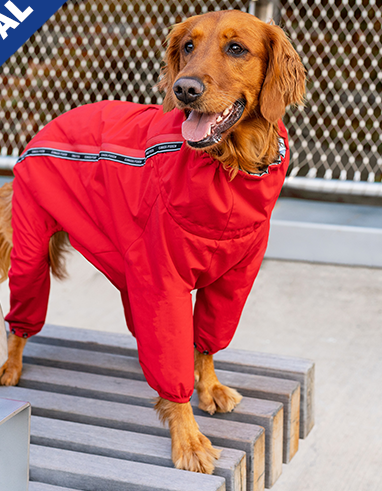 Manteau D'hiver Pour Chien Canada Pooch Rouge