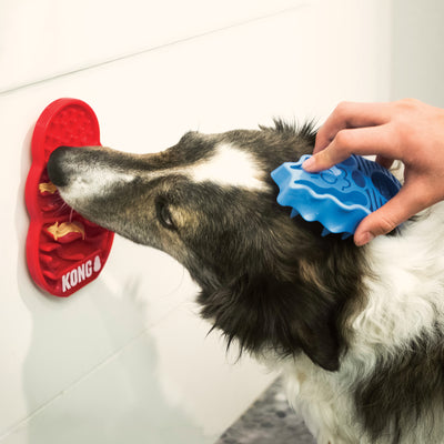 Tapis de lèche pour Chiens ''Licks'' - Kong