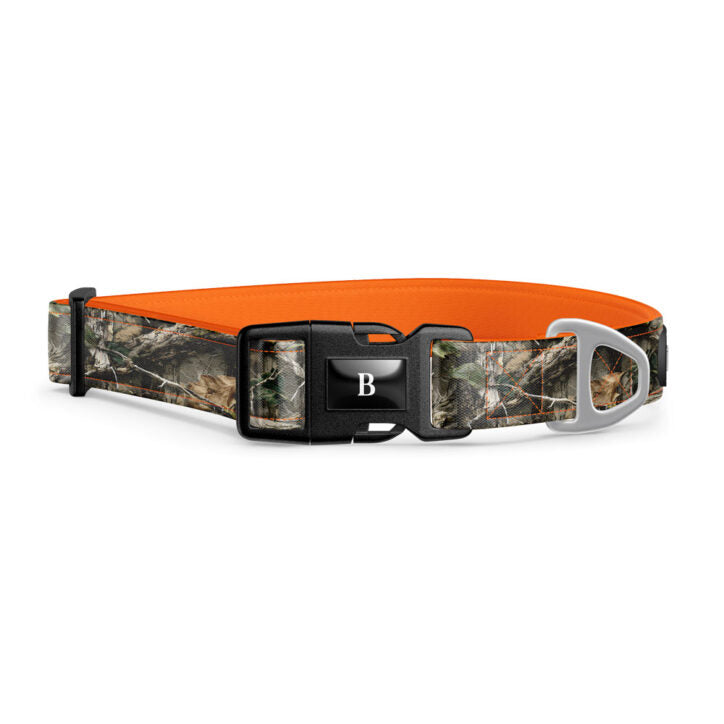 Bramstun - Collier Pour Chien