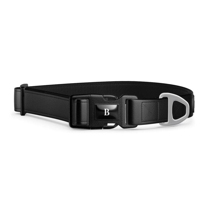 Bramstun - Collier Pour Chien
