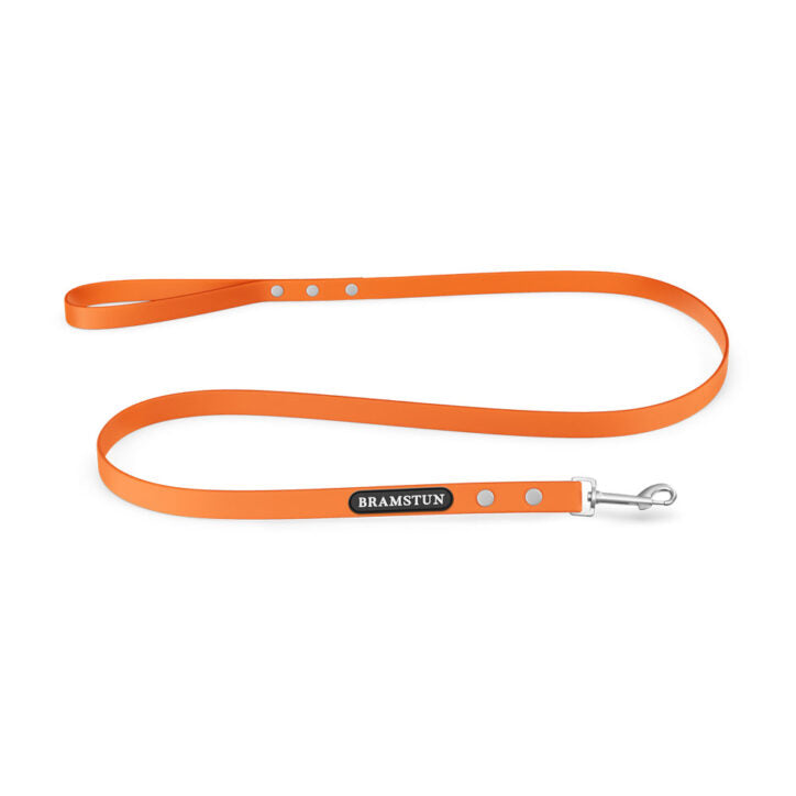 Bramstun - Laisse Imperméable Pour Chien