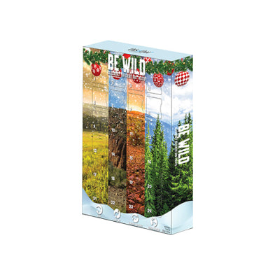 Calendrier De L'Avent Noël Pour Chien Be Wild