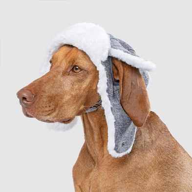 Chapeau Artic De Canada Pooch Pour Chien