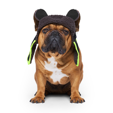 Chapeau D'Aviateur De Canada Pooch Pour Chien
