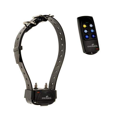 Collier D'Entrainement Pour Chien Eyenimal 250