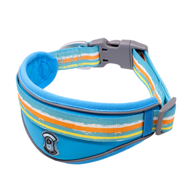 Collier Et Bandana Pour Chien Bleu/Multi
