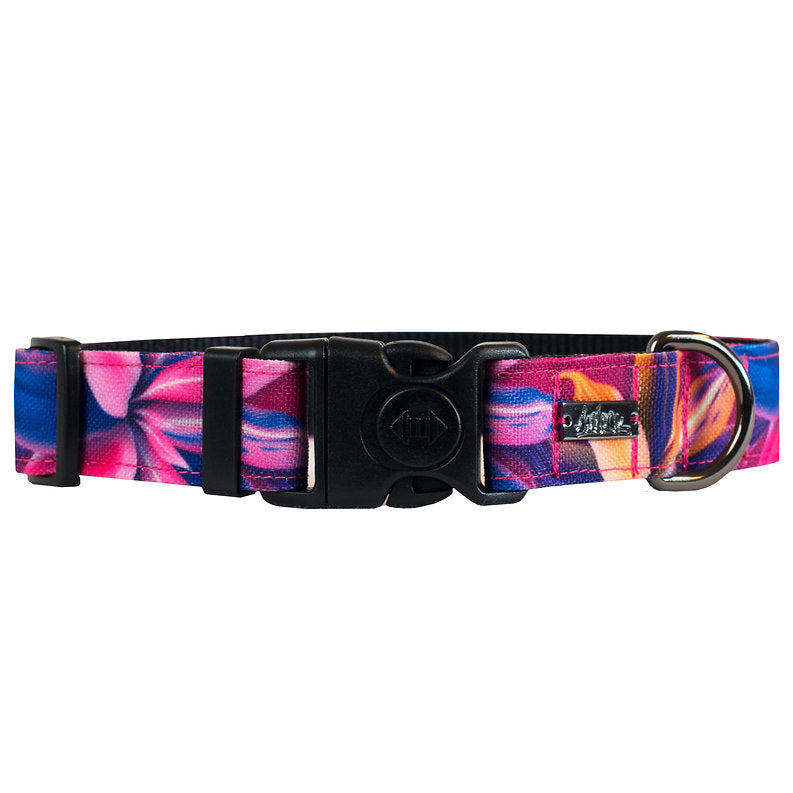 Collier Pour Chien Amarok