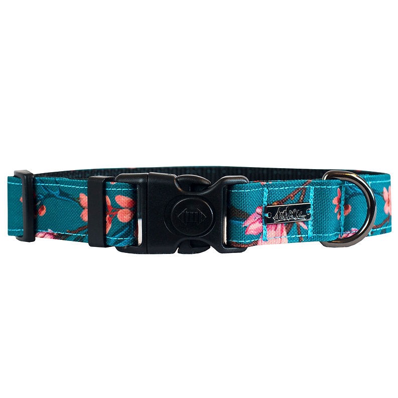 Collier Pour Chien Amarok