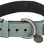 Collier En Coton Pour Chien CityStyle