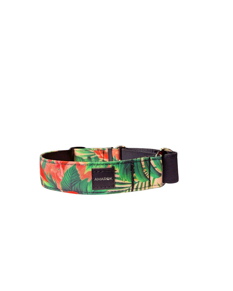 Amarok - Collier Martingale Pour Chien