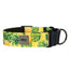 Amarok - Collier Martingale Pour Chien