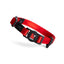 My Family - Collier Memopet Pour Chat