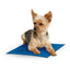 Tapis Rafraichissant pour Chiens Bleu 'Pet Pad'