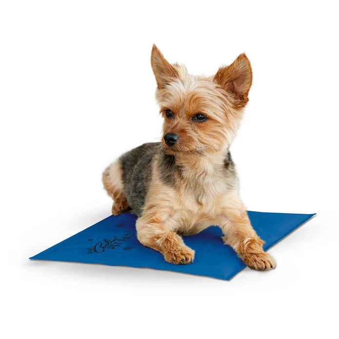 Tapis Rafraichissant pour Chiens Bleu 'Pet Pad'