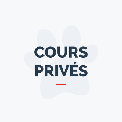 Cours privés - Base 1