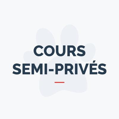 Cours semi-privés - Base 1