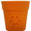 Distributeur De Friandises Pour Chien 'ecup' De SodaPup *Pot De Fleurs*
