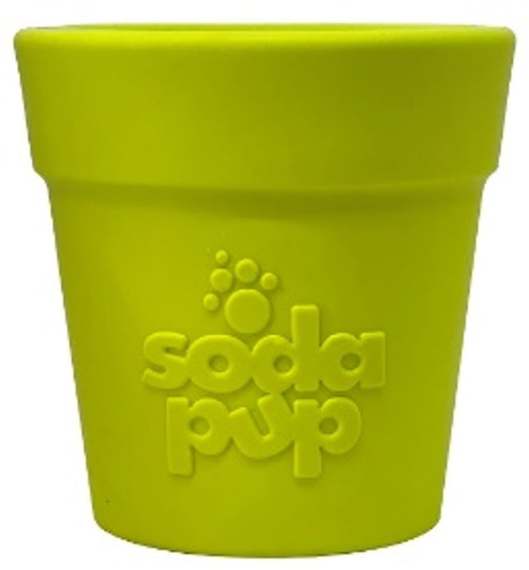 Distributeur De Friandises Pour Chien 'ecup' De SodaPup