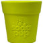Distributeur De Friandises Pour Chien 'ecup' De SodaPup *Pot De Fleurs*