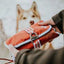 Trousse de Premiers Soins pour Chiens