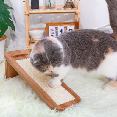 Griffoir Petpals Pour Chat