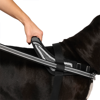 Harnais Anti-Tirage Pour Chien Pour Chien Canada Pooch