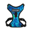 Harnais Pour Chien Amarok
