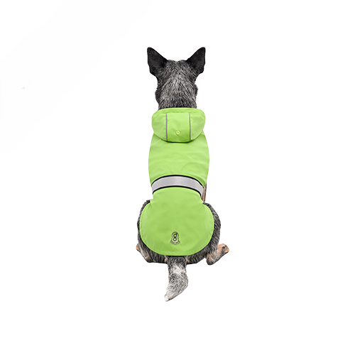 Imperméable Moulant Goo-Eez Pour Chien *Vert  Lime*