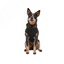 Imperméable Moulant Goo-Eez Pour Chien *Vert  Lime*