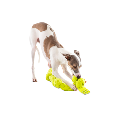 Jouet pour chien GURU® En Corde