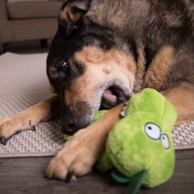 Jouet Couineur Silencieux Aligator - 'Chew Guard'