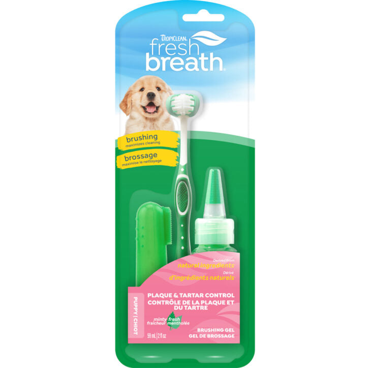 Ensemble Dentaire Fresh Breath