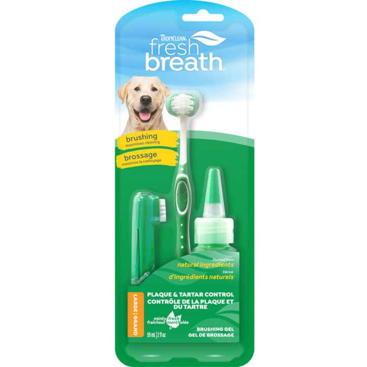 Ensemble Dentaire Fresh Breath