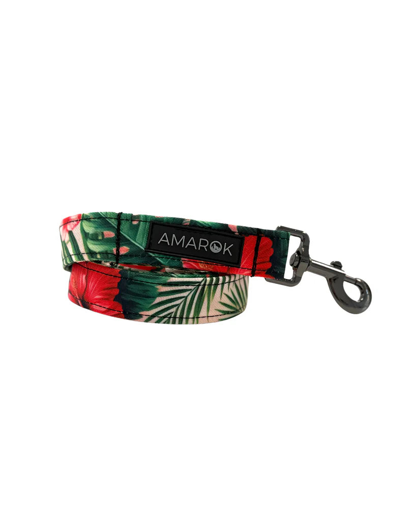 Laisse Pour Chien Amarok