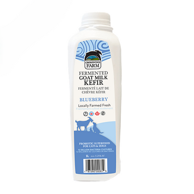 Lait De Chèvre Fermenté Kéfir Aux Bleuets