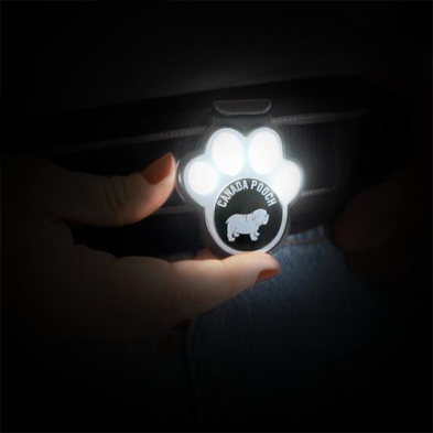 Lumière De Marche Pour Chien Canada Pooch
