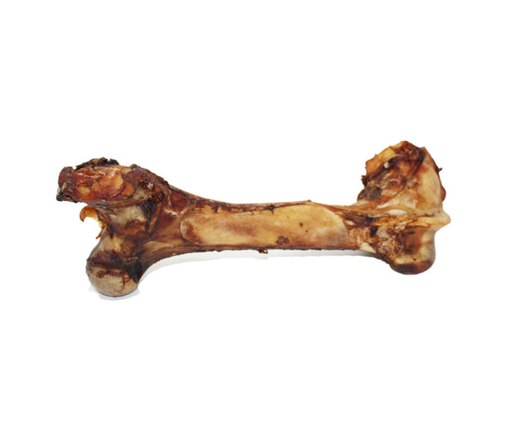 Os De Dino Pour Chien