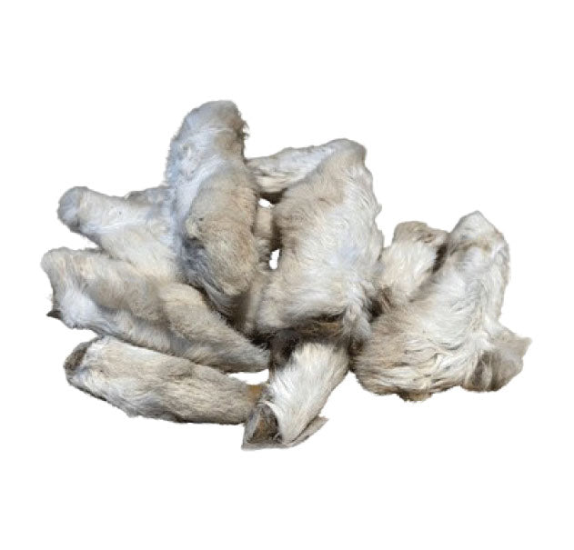 Patte De Lapin Avec Poils
