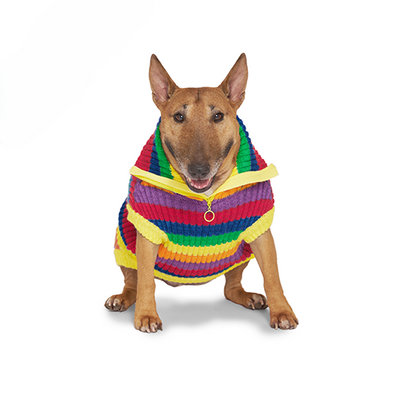 Pull Cotelé Canada Pooch Pour Chien*Ligné Arc-En-Ciel*