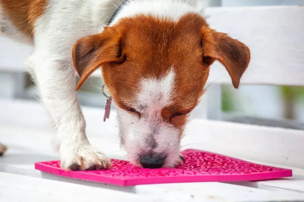 Tapis De Lèche Pour Chien Fleurs