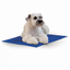 Tapis Rafraichissant pour Chiens Bleu 'Pet Pad'