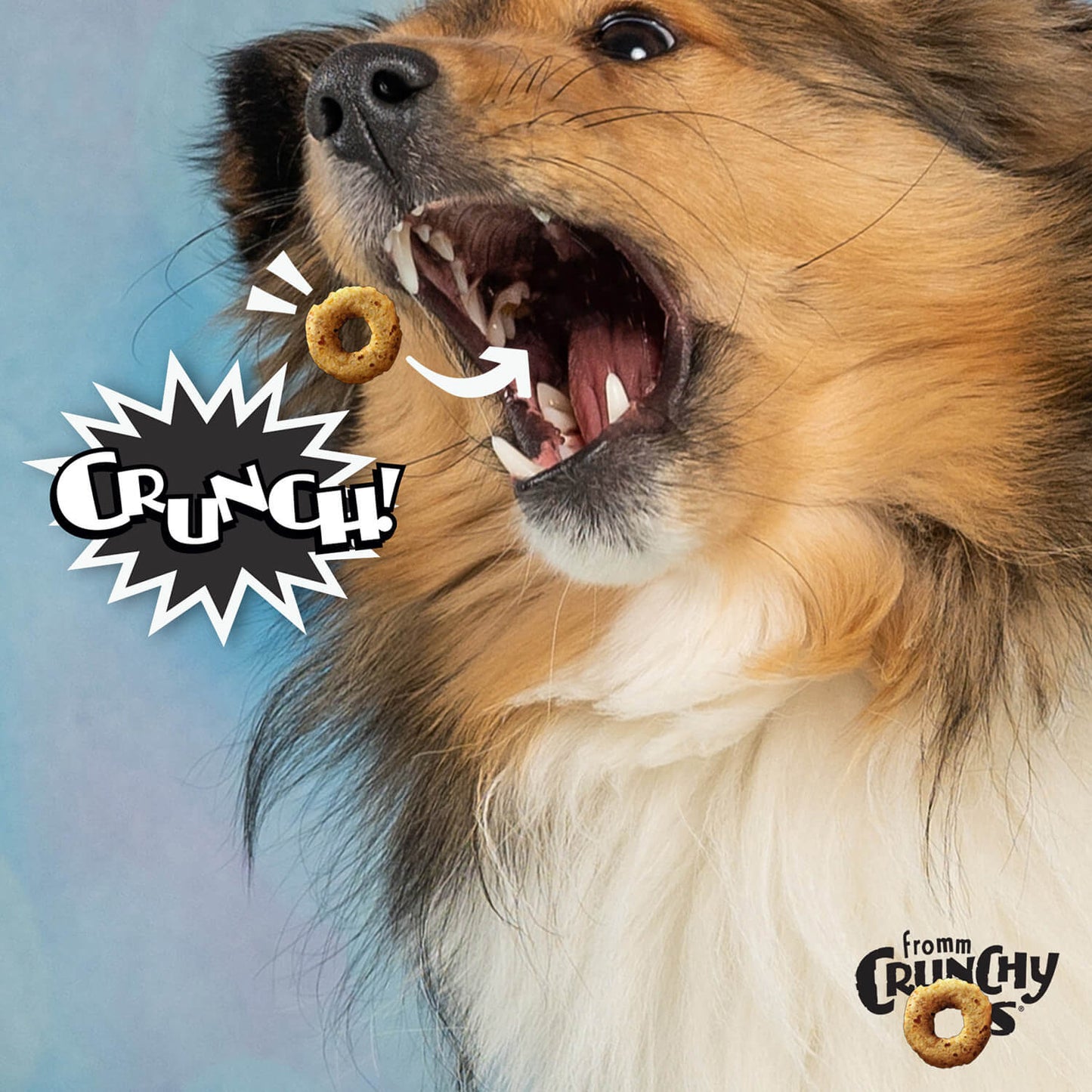 Gâteries Pour Chien Crunchy'os *Saveur De Bacon* - Fromm